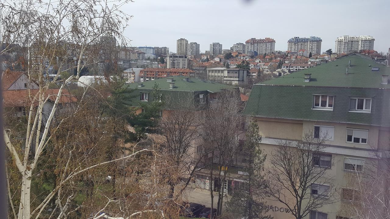 Pavlovic Apartman Belgrad Dış mekan fotoğraf